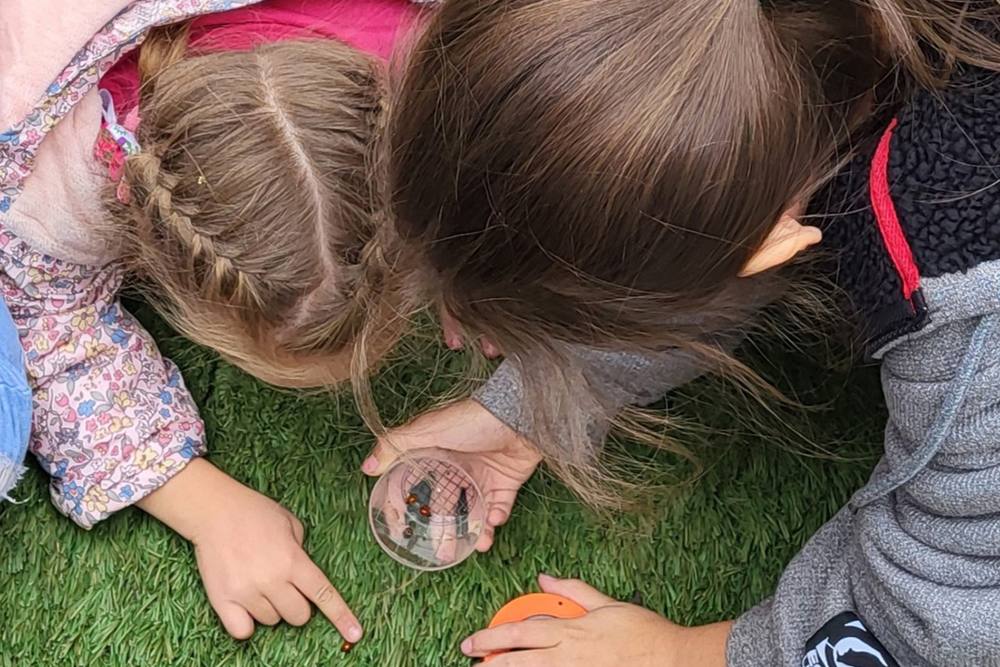 Children examining a bug jar on the grass
